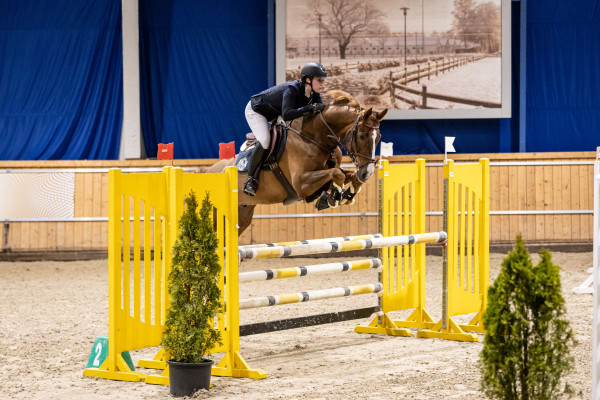 Course jumping in show atmosphere